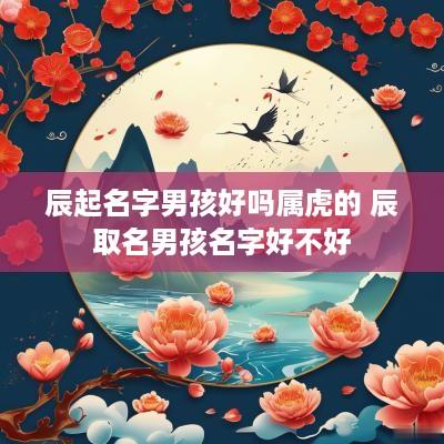 辰起名字男孩好吗属虎的 辰取名男孩名字好不好