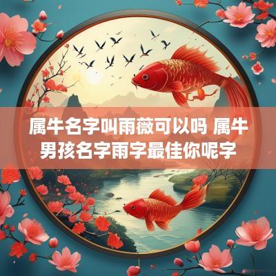 属牛名字叫雨薇可以吗 属牛男孩名字雨字最佳你呢字