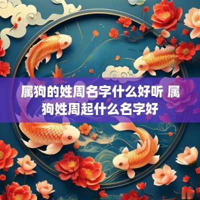属狗的姓周名字什么好听 属狗姓周起什么名字好