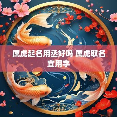 属虎起名用丞好吗 属虎取名宜用字