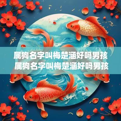 属狗名字叫梅楚涵好吗男孩 属狗名字叫梅楚涵好吗男孩