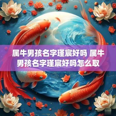 属牛男孩名字瑾宸好吗 属牛男孩名字瑾宸好吗怎么取