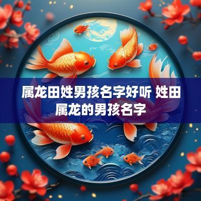 属龙田姓男孩名字好听 姓田属龙的男孩名字