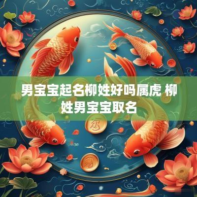 男宝宝起名柳姓好吗属虎 柳姓男宝宝取名