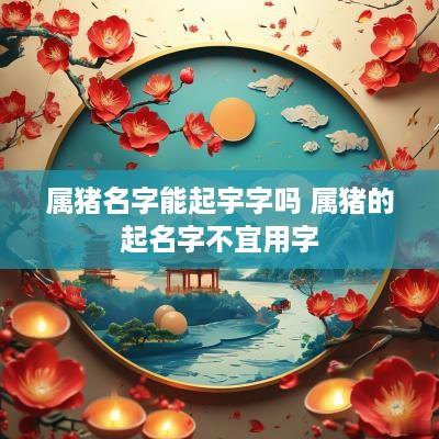 属猪名字能起宇字吗 属猪的起名字不宜用字
