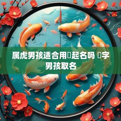 属虎男孩适合用彧起名吗 彧字男孩取名