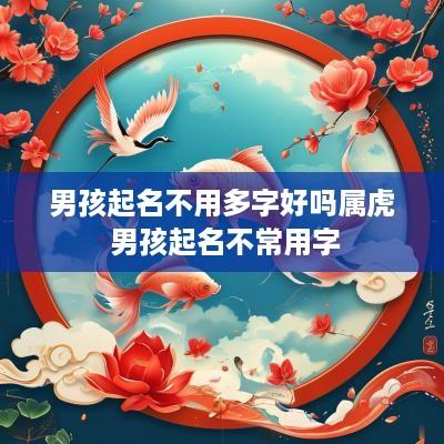 男孩起名不用多字好吗属虎 男孩起名不常用字