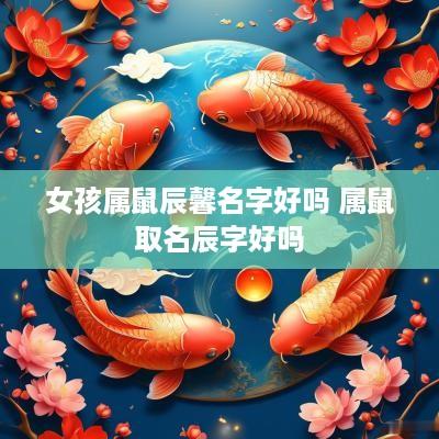 女孩属鼠辰馨名字好吗 属鼠取名辰字好吗