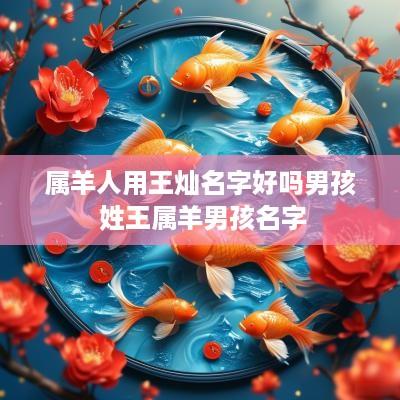 属羊人用王灿名字好吗男孩 姓王属羊男孩名字