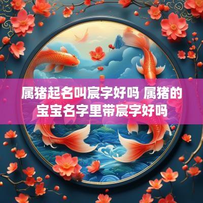 属猪起名叫宸字好吗 属猪的宝宝名字里带宸字好吗