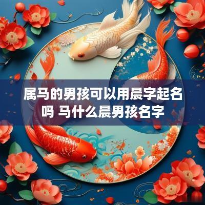 属马的男孩可以用晨字起名吗 马什么晨男孩名字