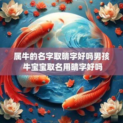 属牛的名字取晴字好吗男孩 牛宝宝取名用晴字好吗