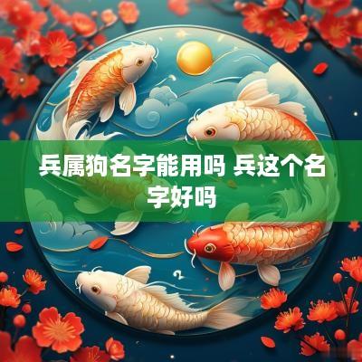 兵属狗名字能用吗 兵这个名字好吗