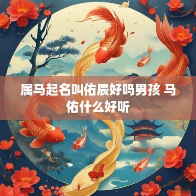 属马起名叫佑辰好吗男孩 马佑什么好听