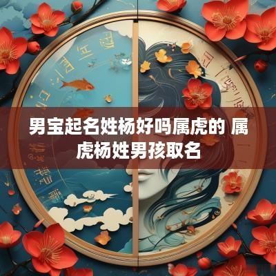 男宝起名姓杨好吗属虎的 属虎杨姓男孩取名