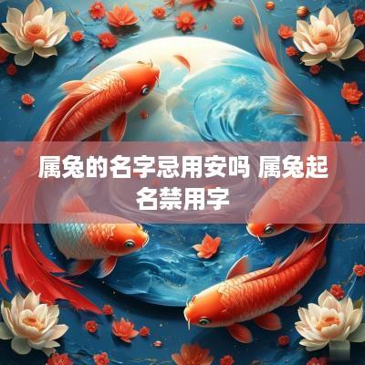 属兔的名字忌用安吗 属兔起名禁用字