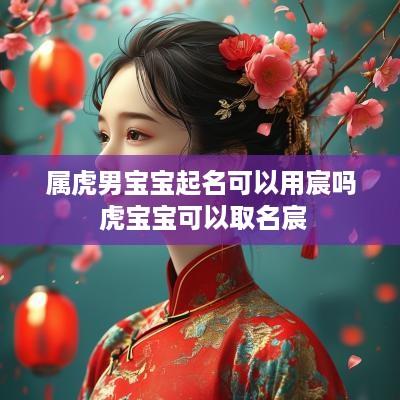 属虎男宝宝起名可以用宸吗 虎宝宝可以取名宸