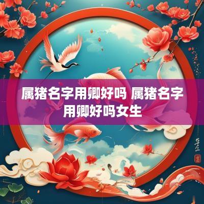 属猪名字用卿好吗 属猪名字用卿好吗女生