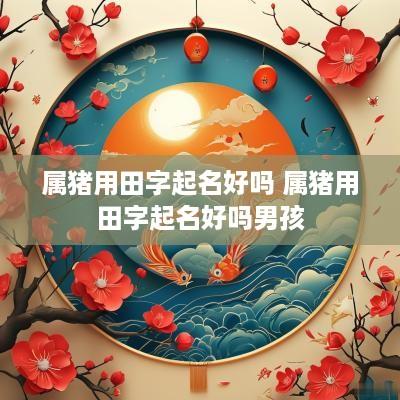 属猪用田字起名好吗 属猪用田字起名好吗男孩