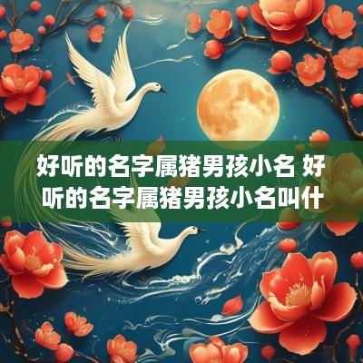 好听的名字属猪男孩小名 好听的名字属猪男孩小名叫什么