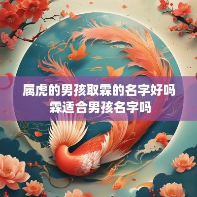 属虎的男孩取霖的名字好吗 霖适合男孩名字吗