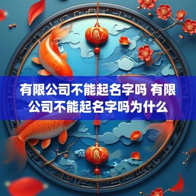 有限公司不能起名字吗 有限公司不能起名字吗为什么