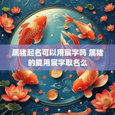属猪起名可以用宸字吗 属猪的能用宸字取名么