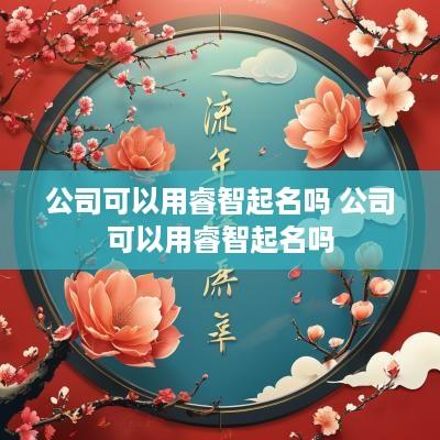 公司可以用睿智起名吗 公司可以用睿智起名吗