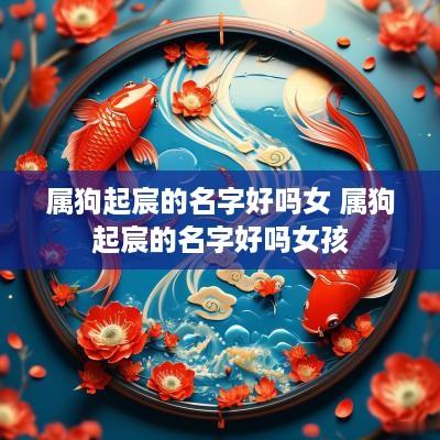 属狗起宸的名字好吗女 属狗起宸的名字好吗女孩