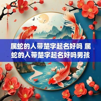属蛇的人带楚字起名好吗 属蛇的人带楚字起名好吗男孩