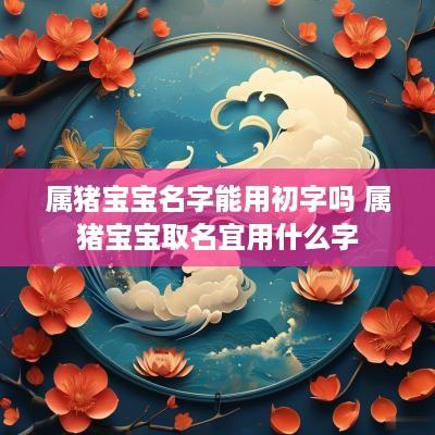 属猪宝宝名字能用初字吗 属猪宝宝取名宜用什么字
