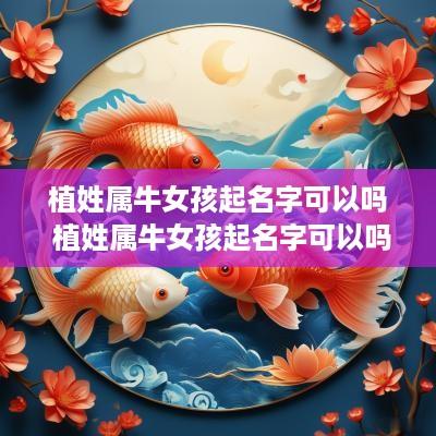 植姓属牛女孩起名字可以吗 植姓属牛女孩起名字可以吗