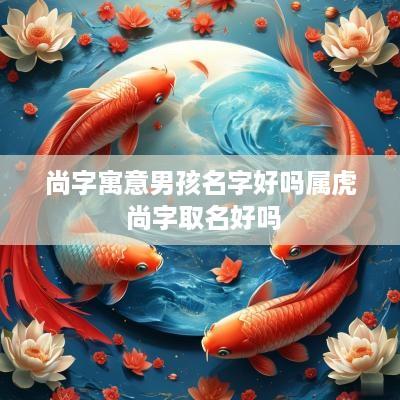 尚字寓意男孩名字好吗属虎 尚字取名好吗