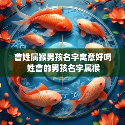 曹姓属猴男孩名字寓意好吗 姓曹的男孩名字属猴