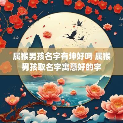 属猴男孩名字有坤好吗 属猴男孩取名字寓意好的字