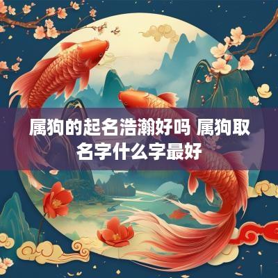 属狗的起名浩瀚好吗 属狗取名字什么字最好