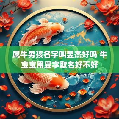 属牛男孩名字叫昱杰好吗 牛宝宝用昱字取名好不好