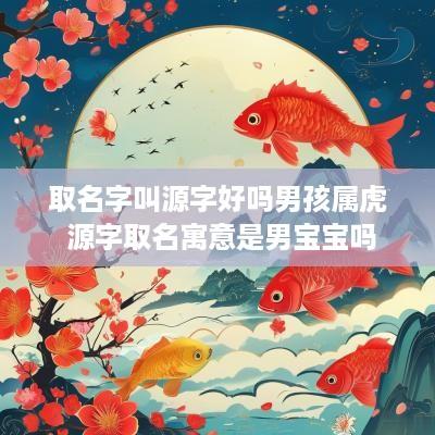 取名字叫源字好吗男孩属虎 源字取名寓意是男宝宝吗