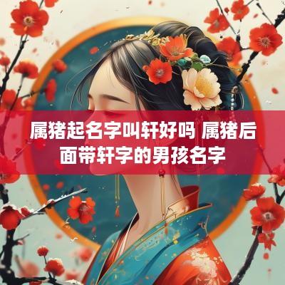 属猪起名字叫轩好吗 属猪后面带轩字的男孩名字
