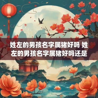 姓左的男孩名字属猪好吗 姓左的男孩名字属猪好吗还是属虎