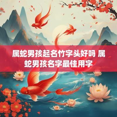 属蛇男孩起名竹字头好吗 属蛇男孩名字最佳用字