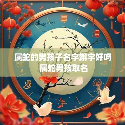 属蛇的男孩子名字翊字好吗 属蛇男孩取名