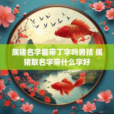 属猪名字能带丁字吗男孩 属猪取名字带什么字好