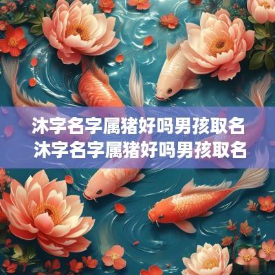 沐字名字属猪好吗男孩取名 沐字名字属猪好吗男孩取名怎么样