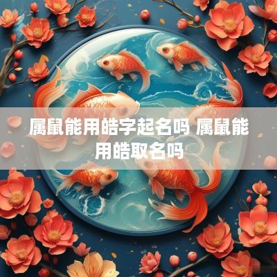属鼠能用皓字起名吗 属鼠能用皓取名吗