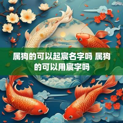 属狗的可以起宸名字吗 属狗的可以用宸字吗
