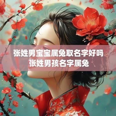 张姓男宝宝属兔取名字好吗 张姓男孩名字属兔