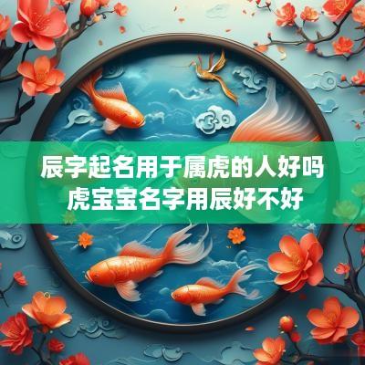 辰字起名用于属虎的人好吗 虎宝宝名字用辰好不好