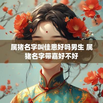 属猪名字叫佳恩好吗男生 属猪名字带嘉好不好