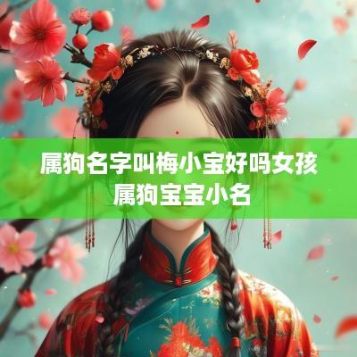 属狗名字叫梅小宝好吗女孩 属狗宝宝小名